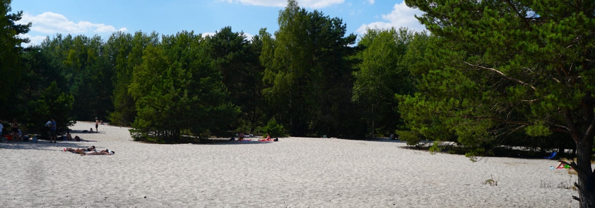 piaszczysta czysta plaża