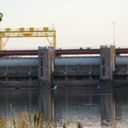 Tama na Zalewie Sulejowskim