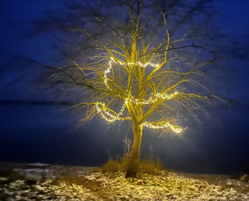 Świąteczne morsowanie